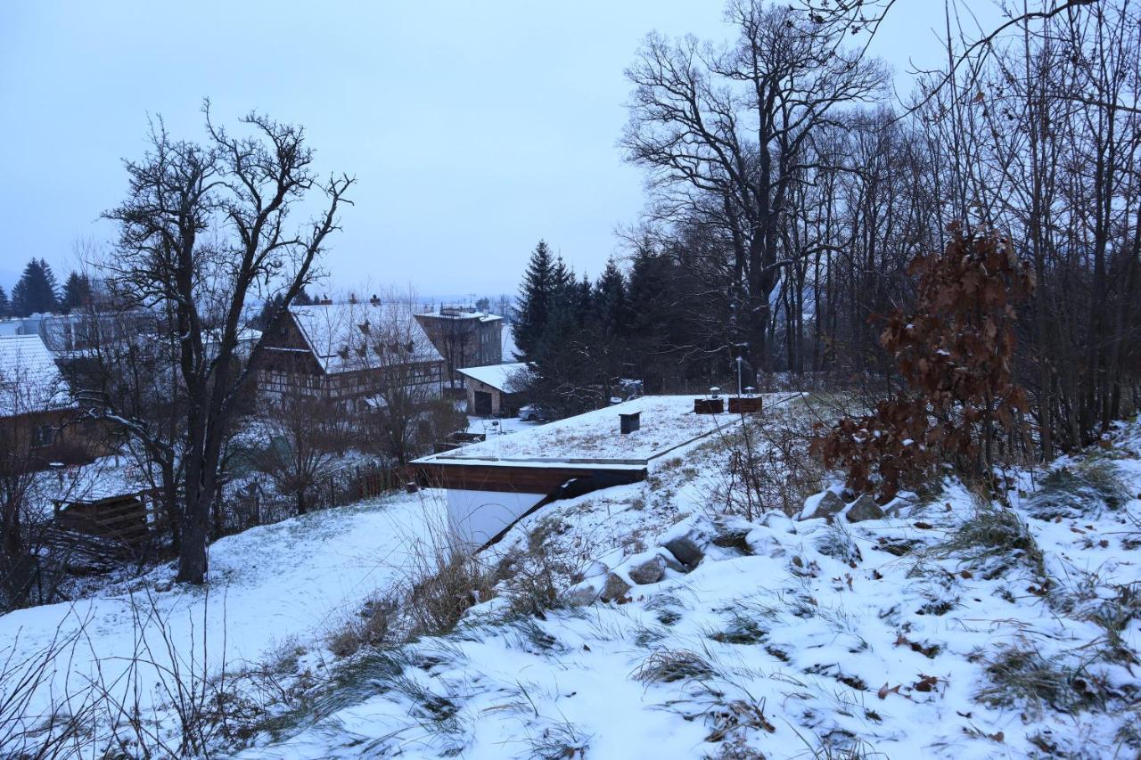 Chata Karkonoskiego Skrzata Villa Sosnowka  Luaran gambar